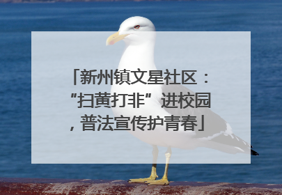 新州镇文星社区：“扫黄打非”进校园，普法宣传护青春
