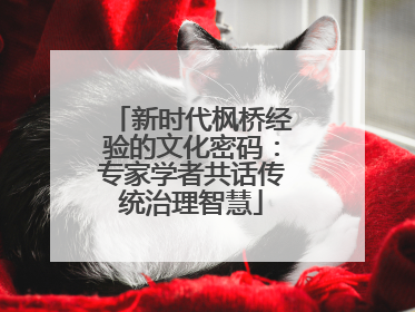 新时代枫桥经验的文化密码：专家学者共话传统治理智慧