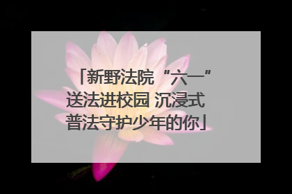 新野法院“六一”送法进校园 沉浸式普法守护少年的你