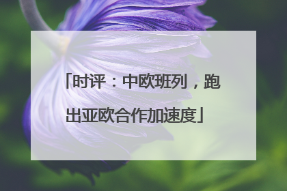 时评：中欧班列，跑出亚欧合作加速度
