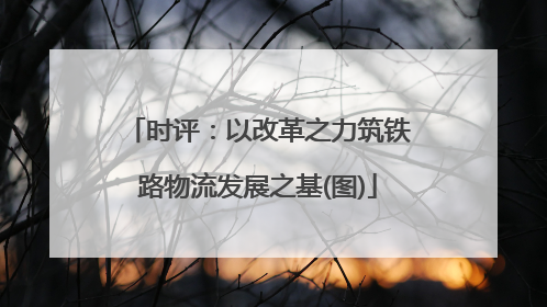 时评：以改革之力筑铁路物流发展之基(图)