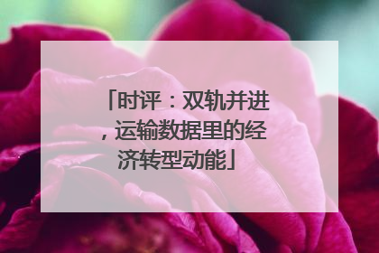 时评：双轨并进，运输数据里的经济转型动能
