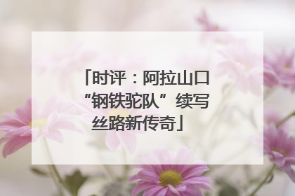 时评：阿拉山口“钢铁驼队”续写丝路新传奇