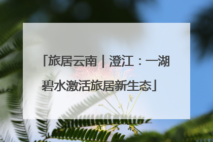 旅居云南｜澄江：一湖碧水激活旅居新生态