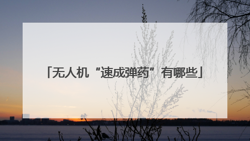 无人机“速成弹药”有哪些