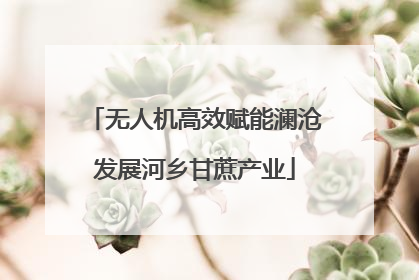 无人机高效赋能澜沧发展河乡甘蔗产业