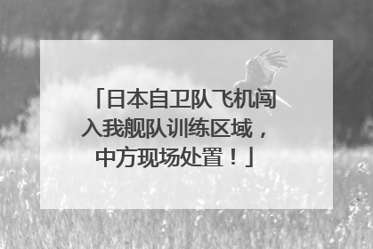 日本自卫队飞机闯入我舰队训练区域，中方现场处置！