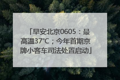 早安北京0605：最高温37℃；今年首期京牌小客车司法处置启动