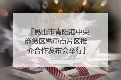 昆山市青阳港中央商务区暨重点片区推介合作发布会举行