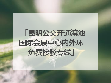 昆明公交开通滇池国际会展中心内外环免费接驳专线