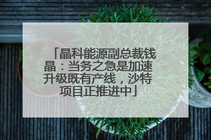 晶科能源副总裁钱晶：当务之急是加速升级既有产线，沙特项目正推进中