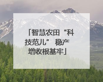 智慧农田“科技范儿” 稳产增收根基牢
