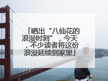 晒出“八仙花的浪漫时刻”，今天，不少读者将这份浪漫延续到家里