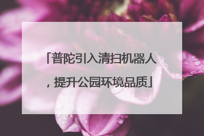 普陀引入清扫机器人，提升公园环境品质