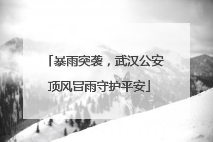 暴雨突袭，武汉公安顶风冒雨守护平安