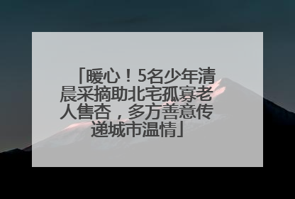 暖心！5名少年清晨采摘助北宅孤寡老人售杏，多方善意传递城市温情