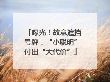 曝光！故意遮挡号牌，“小聪明”付出“大代价”