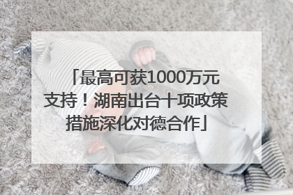 最高可获1000万元支持！湖南出台十项政策措施深化对德合作
