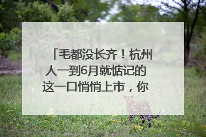 毛都没长齐！杭州人一到6月就惦记的这一口悄悄上市，你打算尝鲜吗？