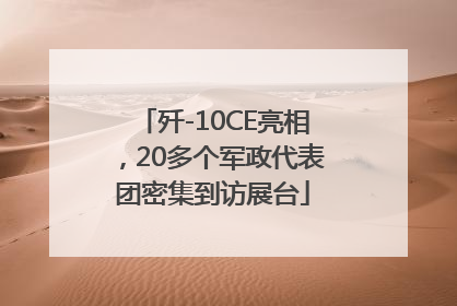 歼-10CE亮相，20多个军政代表团密集到访展台