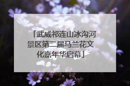 武威祁连山冰沟河景区第二届马兰花文化嘉年华启幕