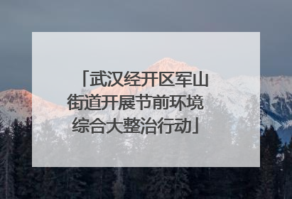 武汉经开区军山街道开展节前环境综合大整治行动