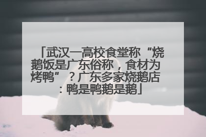 武汉一高校食堂称“烧鹅饭是广东俗称，食材为烤鸭”？广东多家烧鹅店：鸭是鸭鹅是鹅