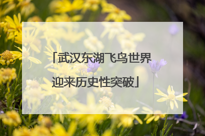 武汉东湖飞鸟世界迎来历史性突破