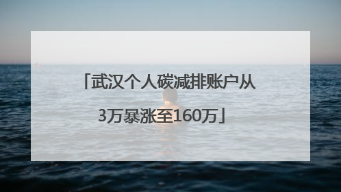 武汉个人碳减排账户从3万暴涨至160万