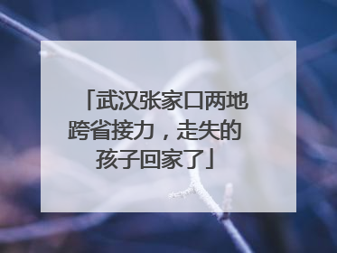 武汉张家口两地跨省接力，走失的孩子回家了