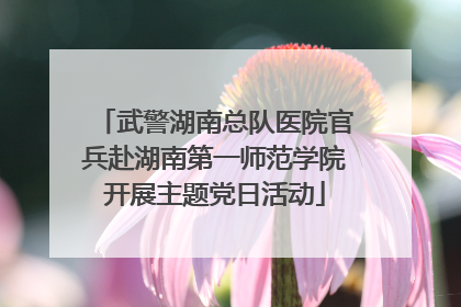 武警湖南总队医院官兵赴湖南第一师范学院开展主题党日活动