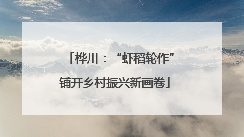 桦川：“虾稻轮作”铺开乡村振兴新画卷
