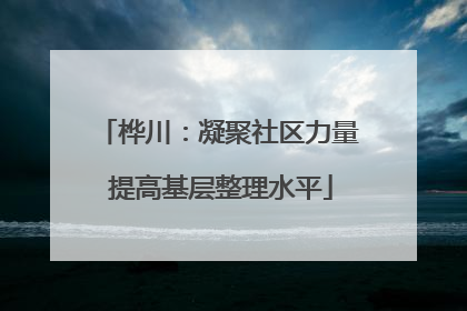 桦川：凝聚社区力量 提高基层整理水平