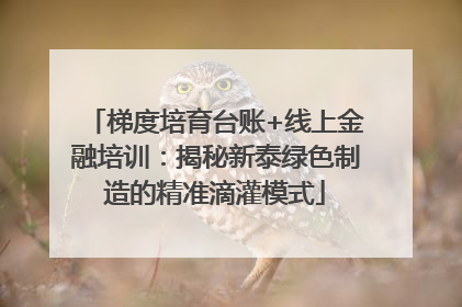 梯度培育台账+线上金融培训：揭秘新泰绿色制造的精准滴灌模式