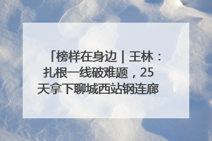 榜样在身边｜王林：扎根一线破难题，25天拿下聊城西站钢连廊“硬核”工程