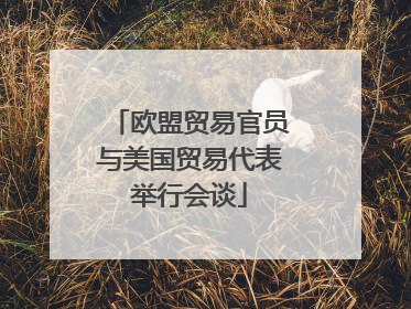 欧盟贸易官员与美国贸易代表举行会谈