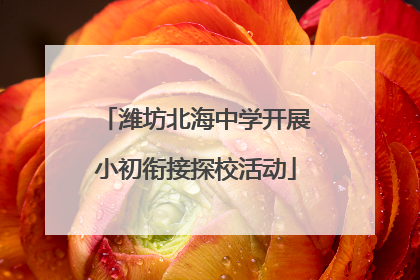 潍坊北海中学开展小初衔接探校活动