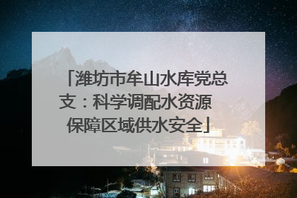 潍坊市牟山水库党总支：科学调配水资源 保障区域供水安全