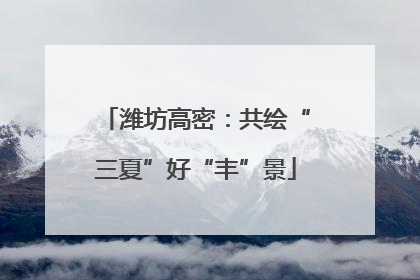 潍坊高密：共绘“三夏”好“丰”景