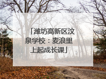 潍坊高新区汶泉学校：麦浪里上起成长课