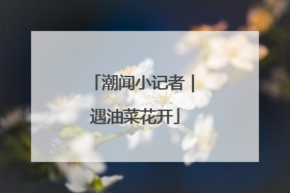 潮闻小记者｜遇油菜花开