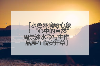 水色淋漓绘心象！“心中的自然”周崇涨水彩写生作品展在临安开幕