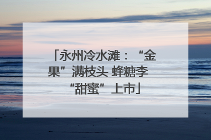 永州冷水滩：“金果”满枝头 蜂糖李“甜蜜”上市