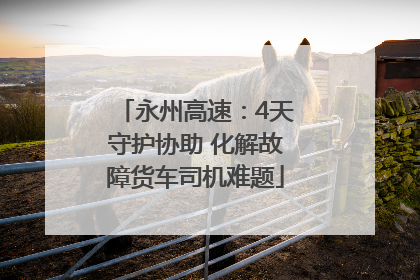 永州高速：4天守护协助 化解故障货车司机难题