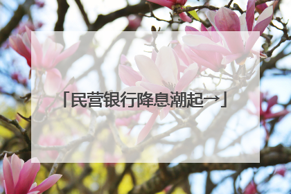 民营银行降息潮起→