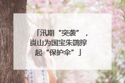 汛期“突袭”，崀山为国宝朱鹮撑起“保护伞”