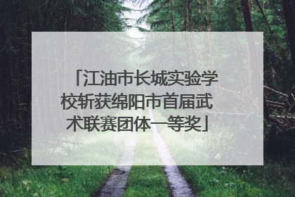 江油市长城实验学校斩获绵阳市首届武术联赛团体一等奖