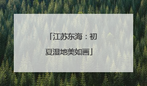 江苏东海：初夏湿地美如画