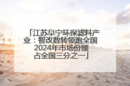 江苏阜宁环保滤料产业：智改数转领跑全国 2024年市场份额占全国三分之一