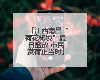 江西南昌“荷花秘境”夏日盛放 市民赏荷正当时